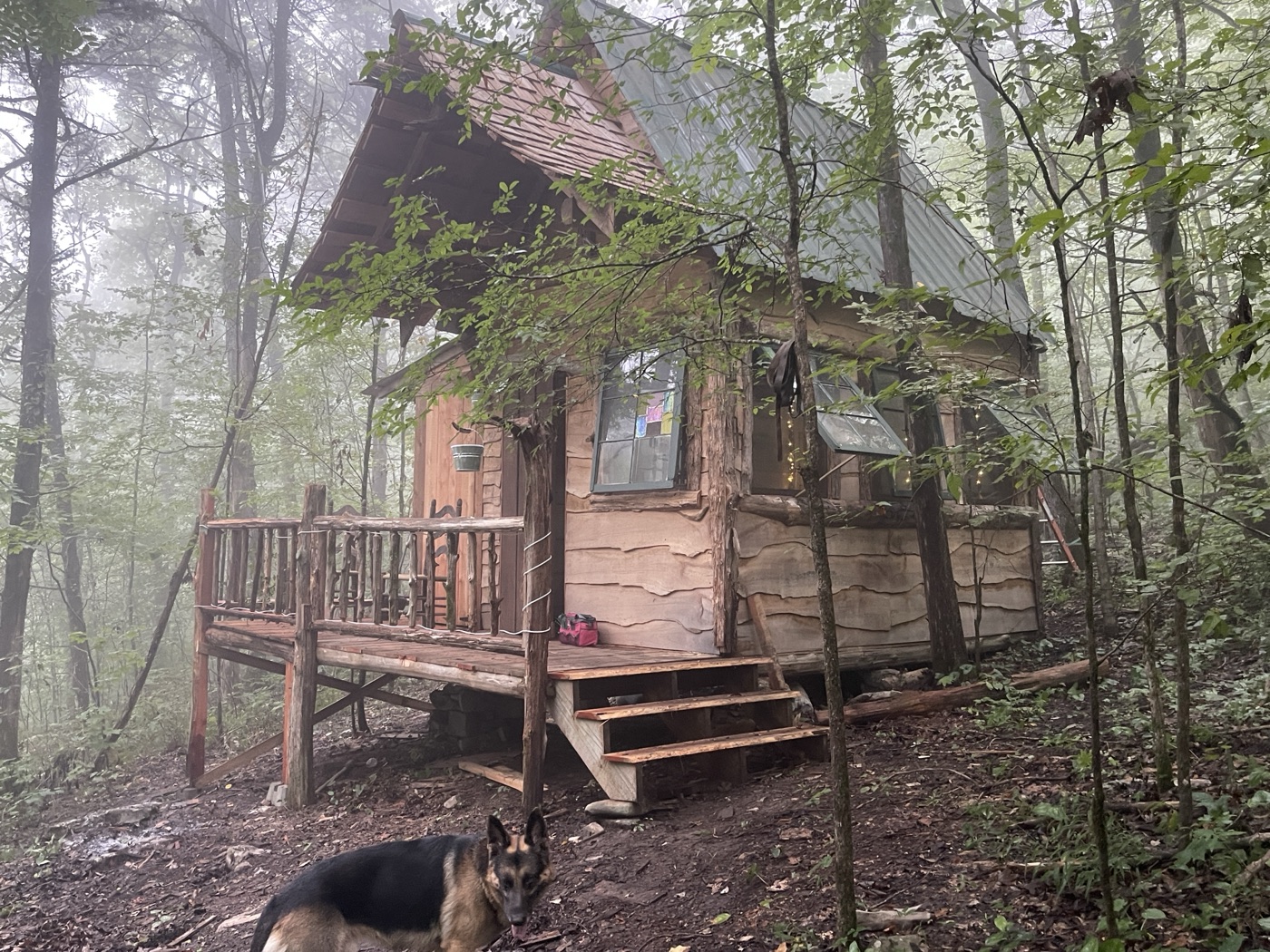 Whispering Falls cabin exterior nestled in the Tennessee woods