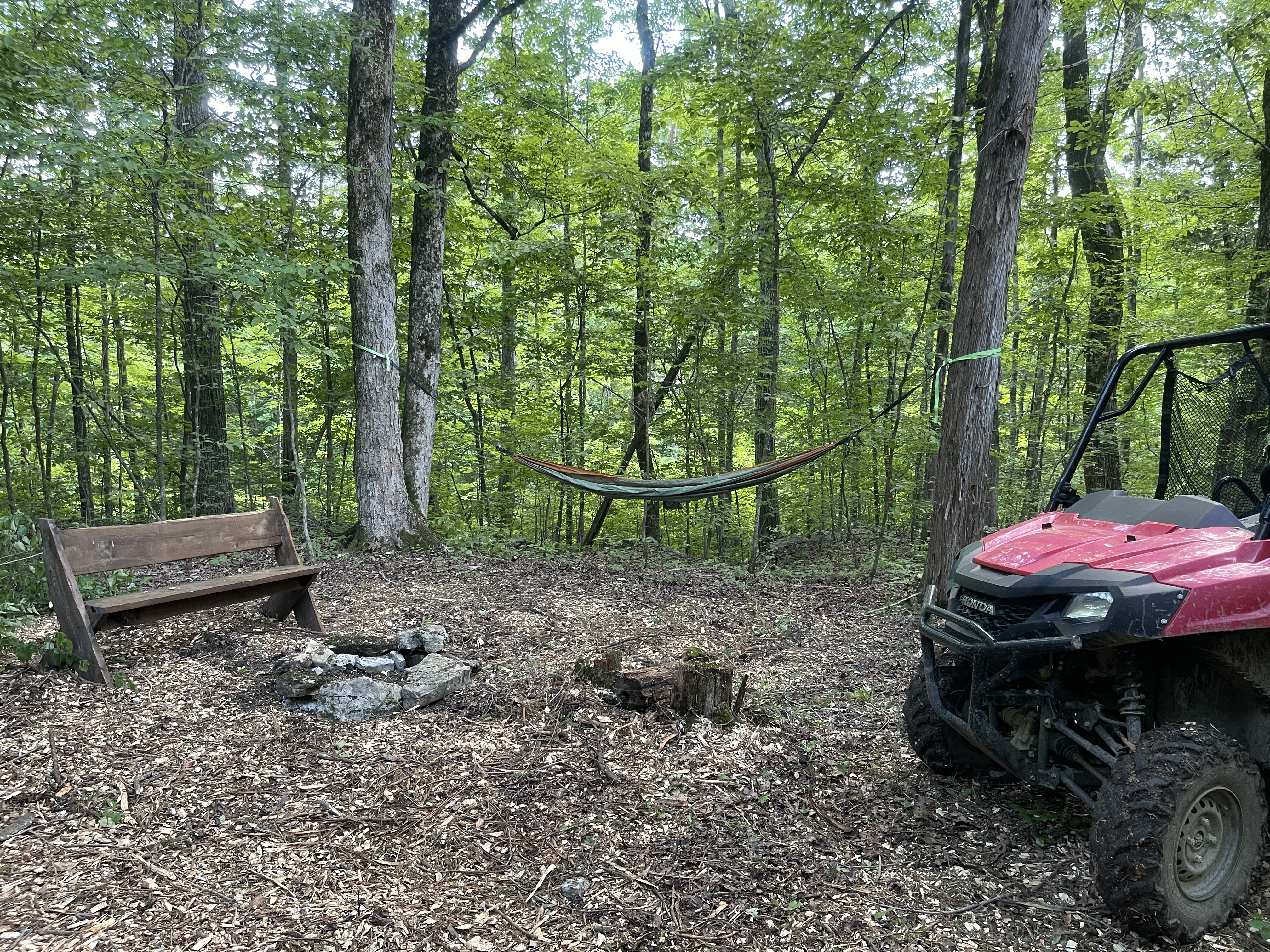 Campsite with hammock and firepit in the Tennessee woods