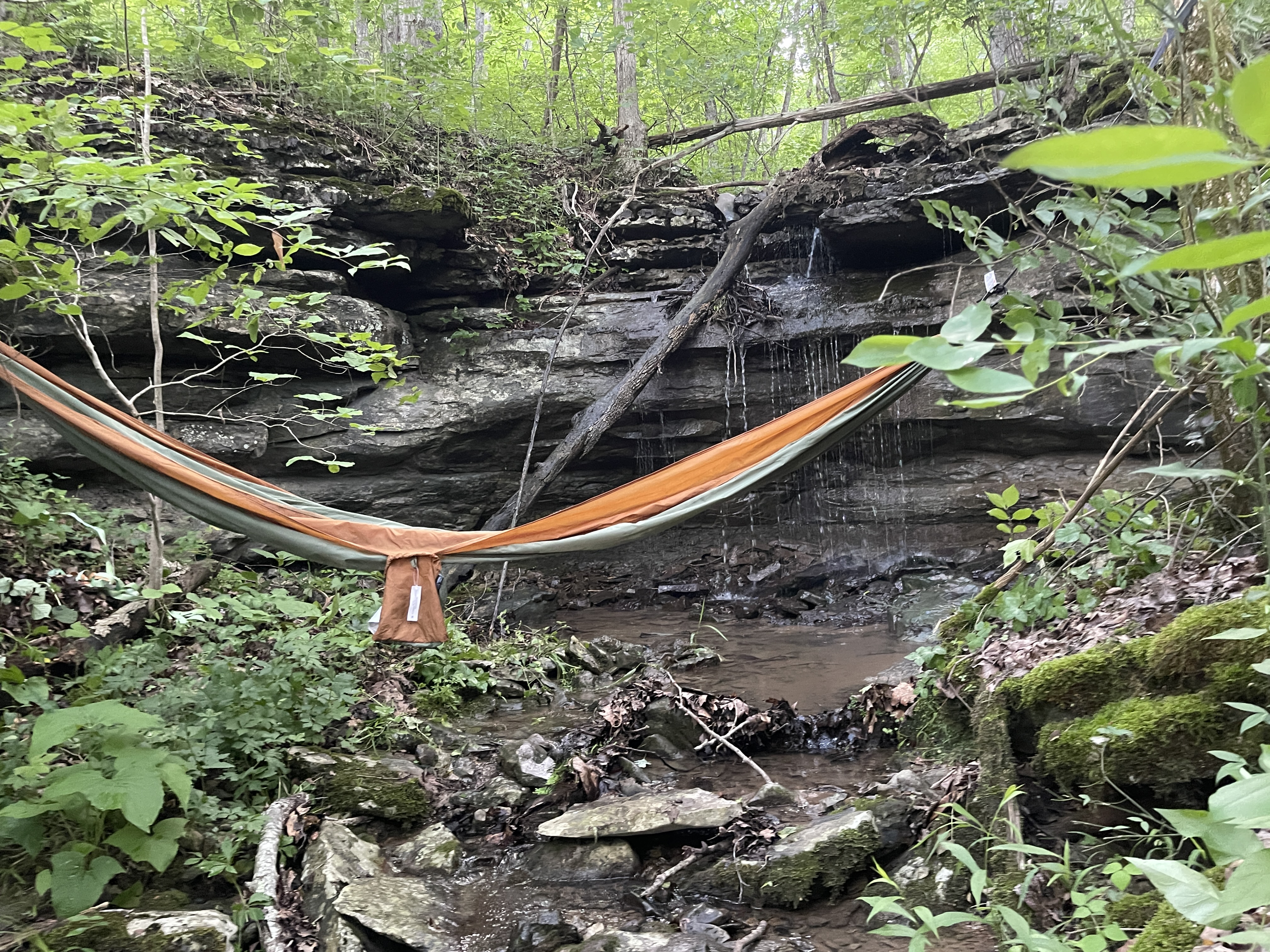 Hammock strung near the waterfall at Whispering Falls